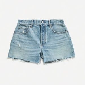 Everlane Cheeky Denim Short